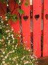 A very inviting fence.